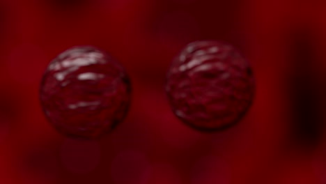 Células-Que-Multiplican-Bacterias-Virus-Sangre-Bajo-Microscopio-4k
